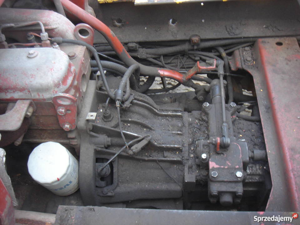 IVECO EURO CARGO 75E15 1995r Rama Zamiana 6 Do zabudowy Nowy Dwór Gdański sprzedam