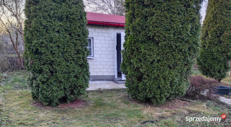 Działka rekreacyjna ROD 300zł/m2