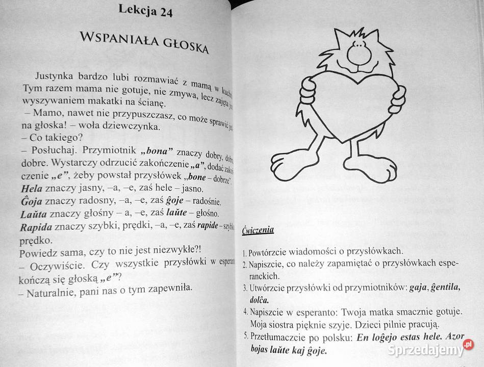 Nova aventuro Nowa przygoda Halina miękka Chełm sprzedam