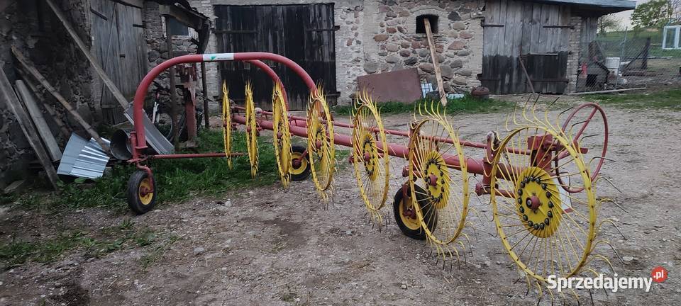 Wicher grabarka nieuszkodzony podlaskie Kolno