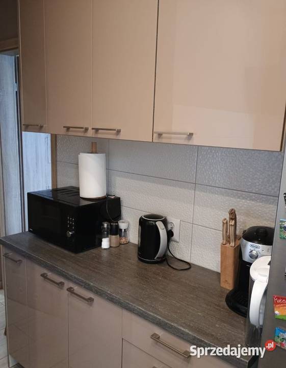 2pok 38met Cedrowej LOGGIA2 PIWNICE Wrocław Sprzedaż