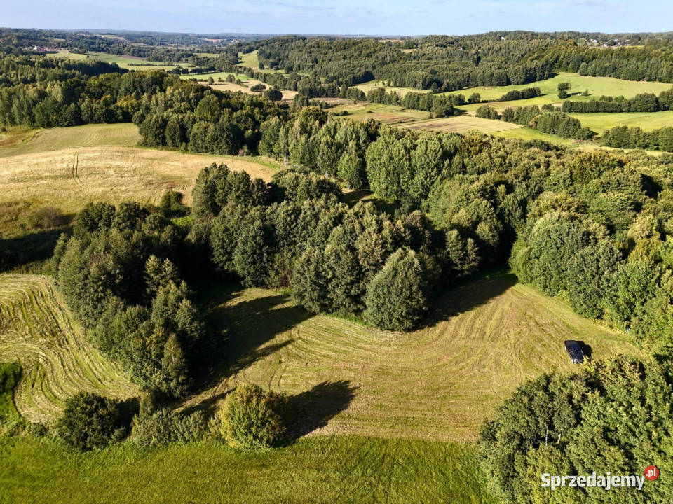 Wyjątkowa działkaKaszuby Strysza Buda 0zł/m2