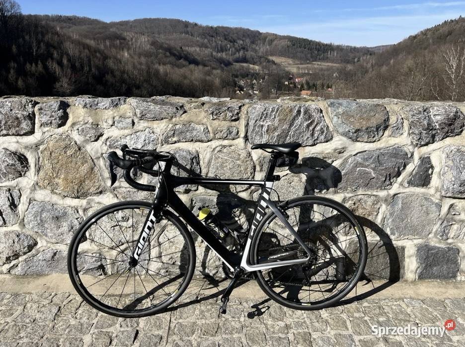 Giant Propel 2 Wałbrzych