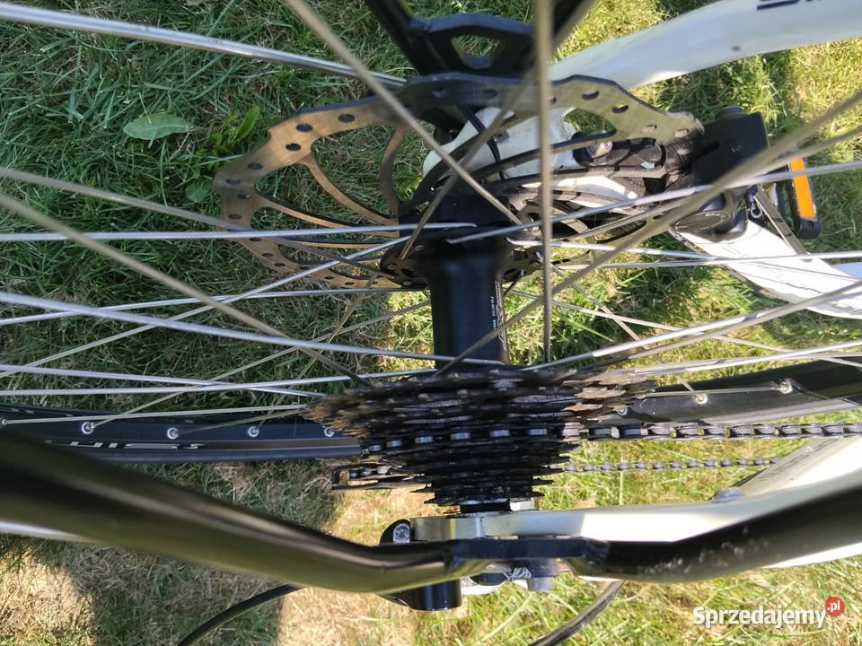 Rower Simplon Silk Carbon Kielce