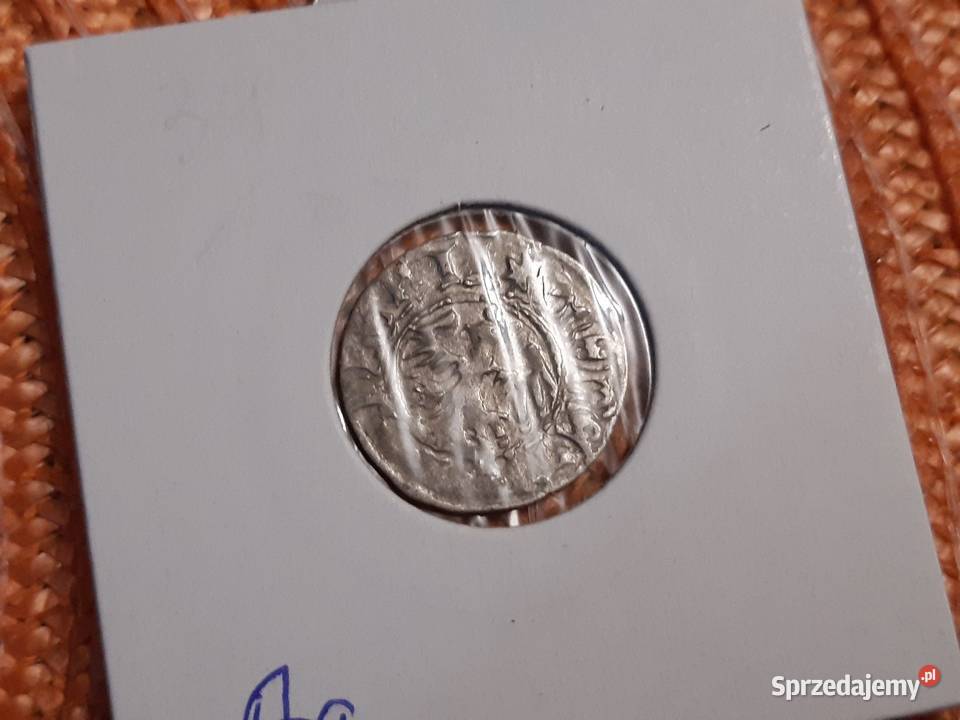 moneta srebrna polska Jana Olbrachta Kolekcje Łomża