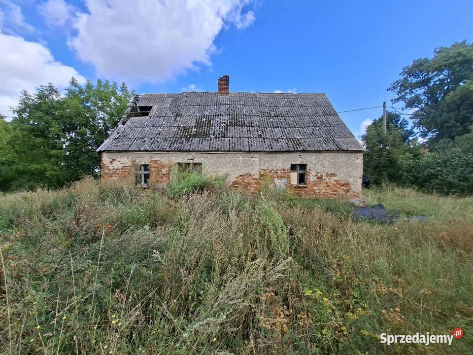 Dom z gruntem ornym Rok budowy 1944 dolnośląskie Żmigród sprzedam