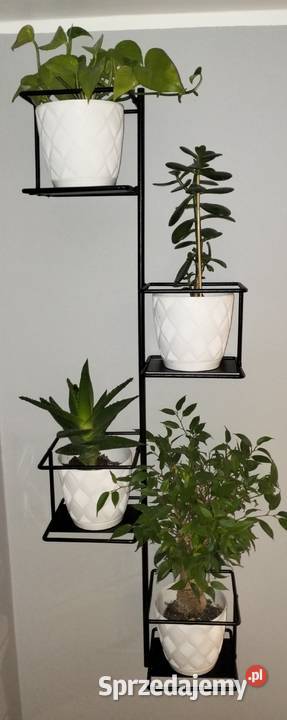 Kwietnik Włocławek sprzedam