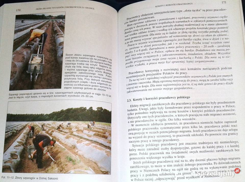 Sezonowe wyjazdy zarobkowe Polaków do Niemiec J Rok wydania 2003 Chełm