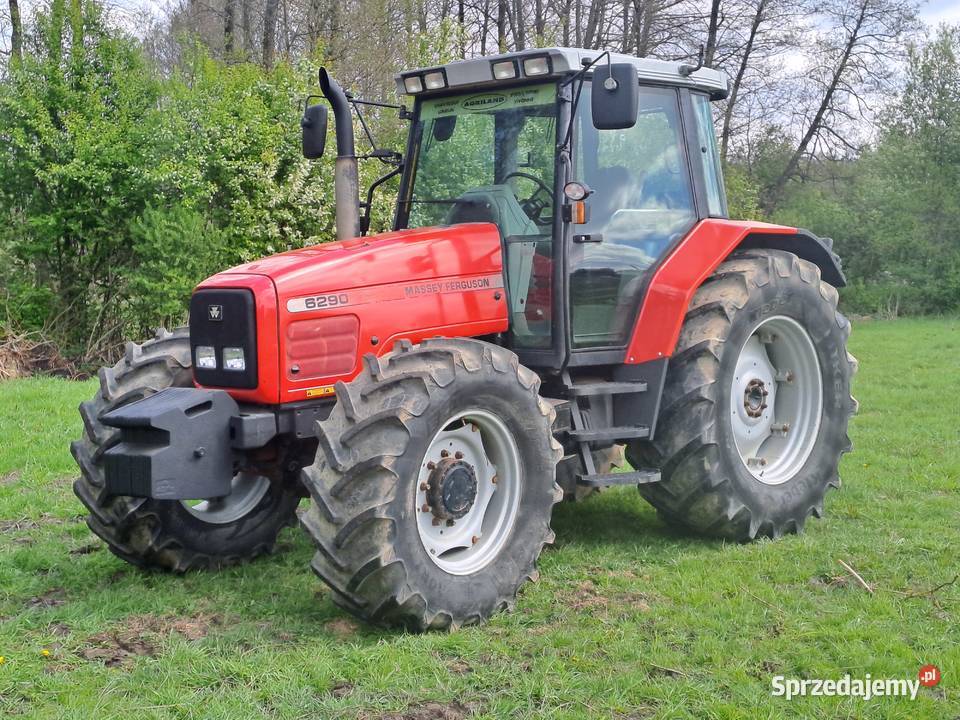 Massey Ferguson 6290 Ruda-Huta