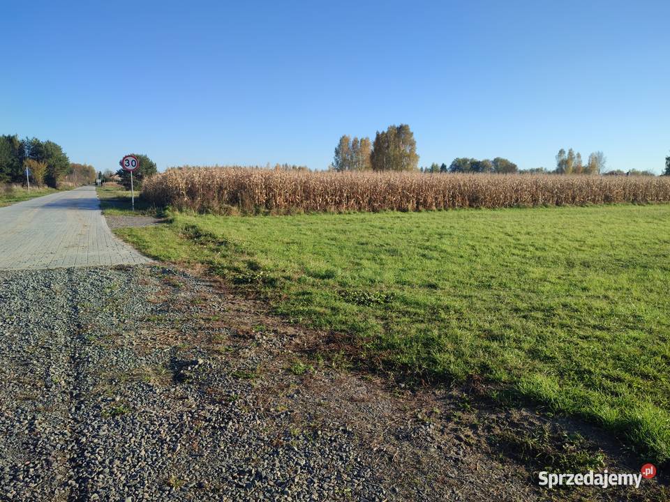 sprzedam dom Lechuty Duże