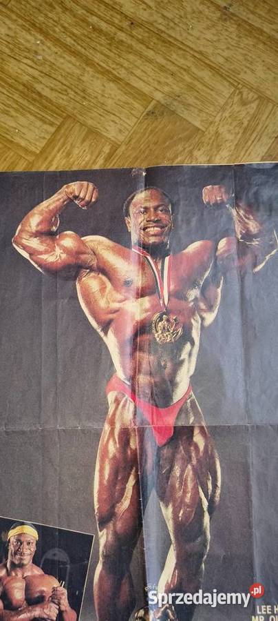 Orginalny plakat Lee Hanney Olimpia Tarnów