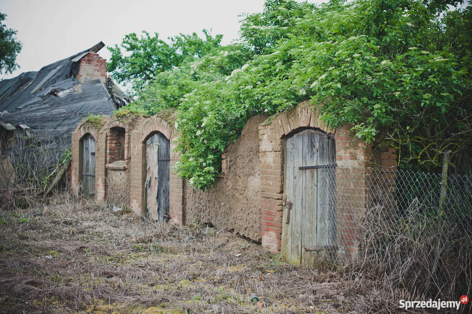 Dom 80m2 do remontu z działką 09 ha węglowe wielkopolskie Stare Morzyce
