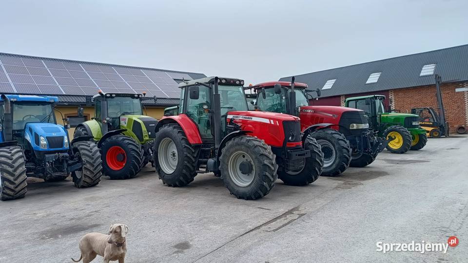Massey Ferguson 6480 Żabno