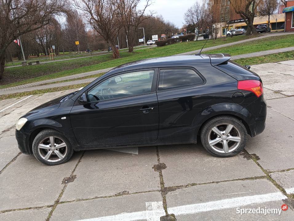 Kia Ceed uszkodzona do napraw lakierniczych wielkopolskie Śrem