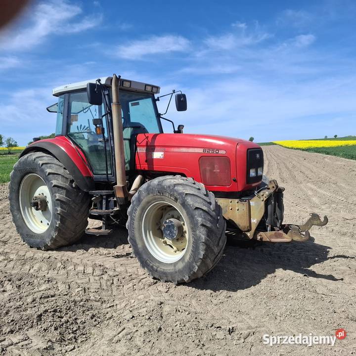 Massey ferguson 8250 Lublin sprzedam