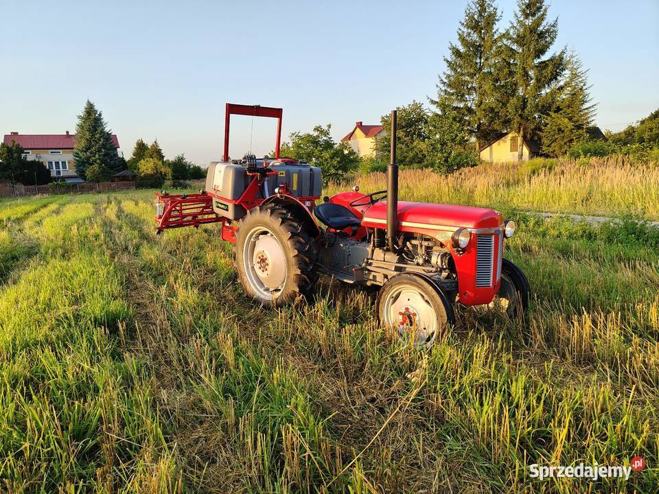 Ferguson tea20 z 1956r Rolnictwo sprzedam
