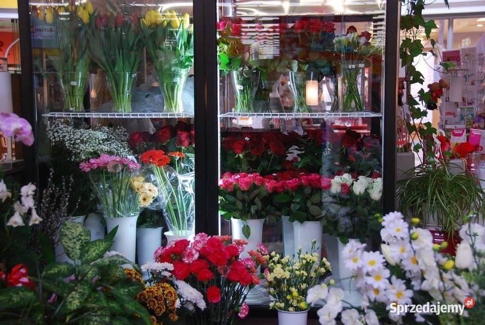 Szafa chłodnicza RAPA SCh2SR1600 2N Tarnowskie Góry