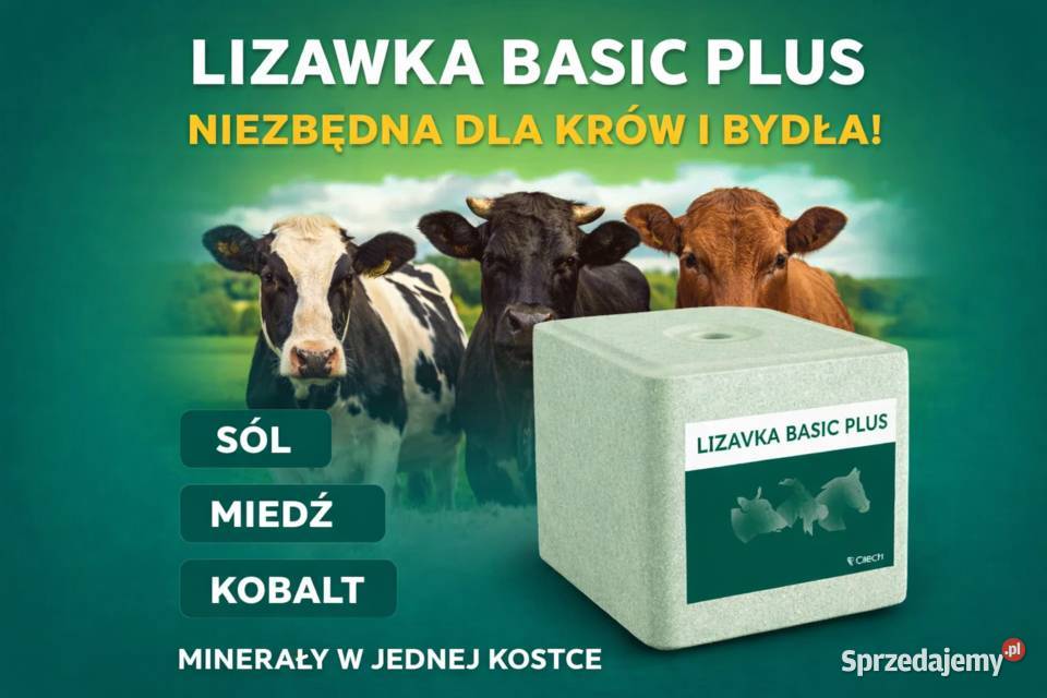 Lizawka solna zielona bydłokrowy CIECH lizaki Malbork sprzedam