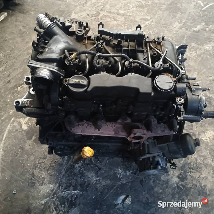 Silnik 16 9HZ hdi tdci Diesel Peugeot Ford osobowe Silniki kompletne Bychawa sprzedam