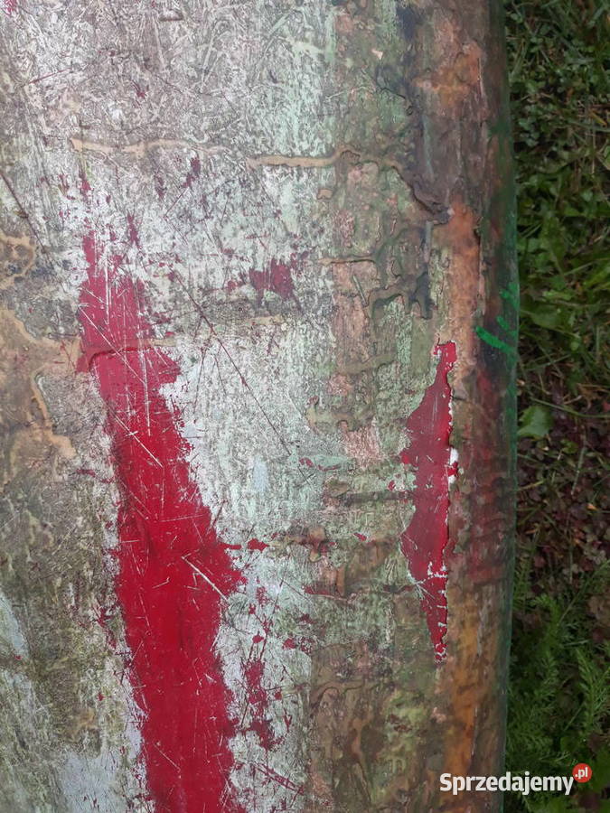 Kajak kajaki Chotyłów