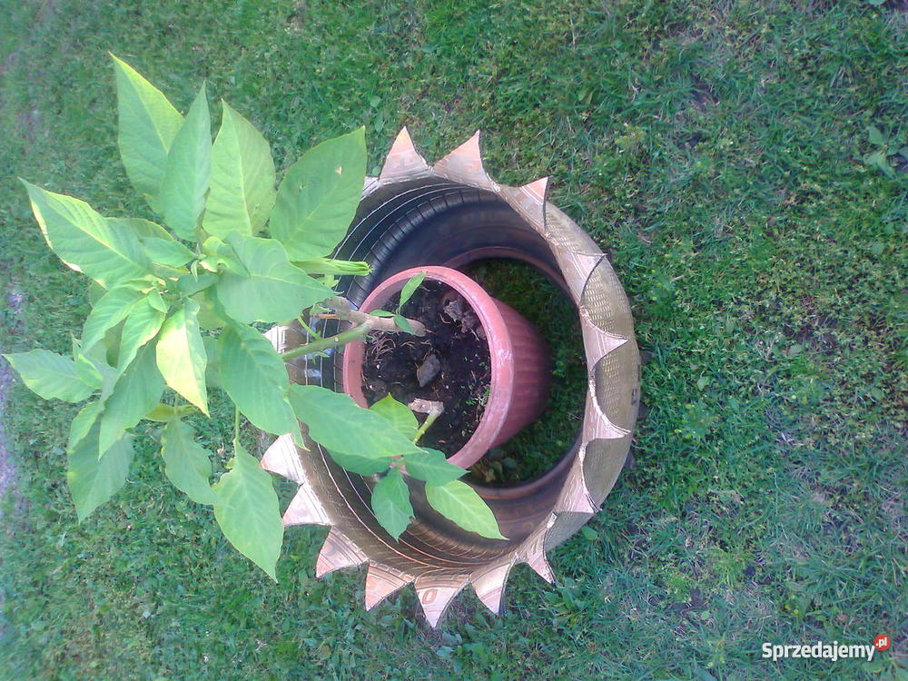 koszyki z opon Smyków