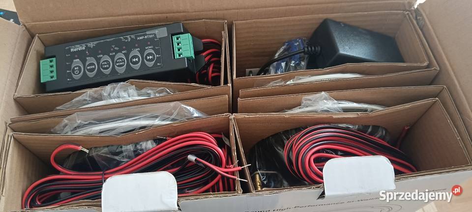 Głośniki podtynkowe sufitowe Herdio 8 Drezdenko