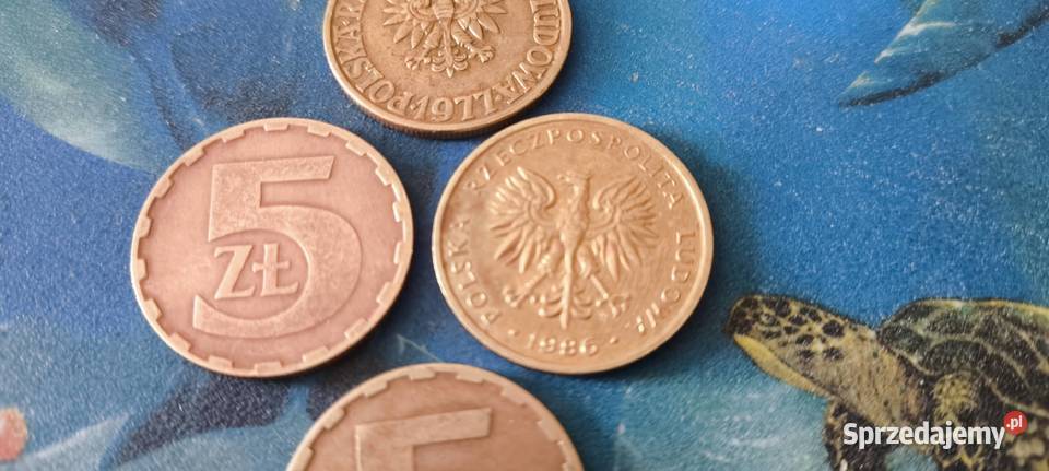 Monety PRL 5 1975 76 77 79 84 85 86 87 Numizmatyka Gliwice