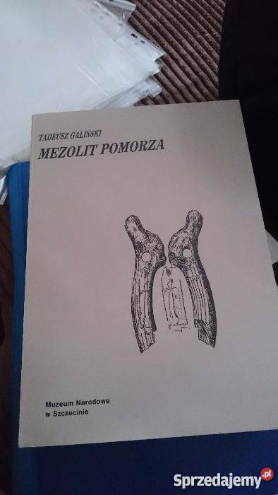 Mezolit Pomorza Galiński Tadeusz zachodniopomorskie Koszalin