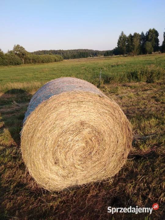 Sprzedam siano Reszel