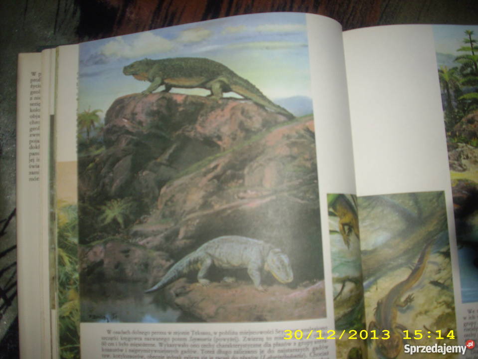 Zanim pojawił się człowiek Goleniów