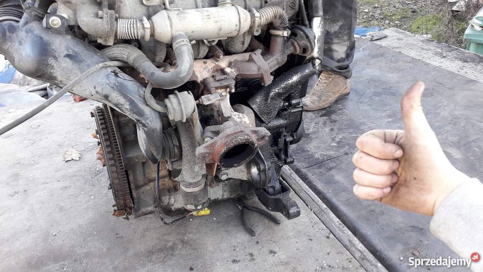 Sprzedam części Citroen Jumpy 20HDI 2005r Rok produkcji 2005 opolskie Opole