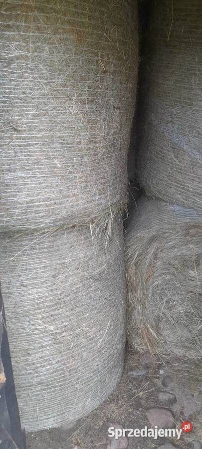 Sprzedam siano warmińsko-mazurskie Turza Mała