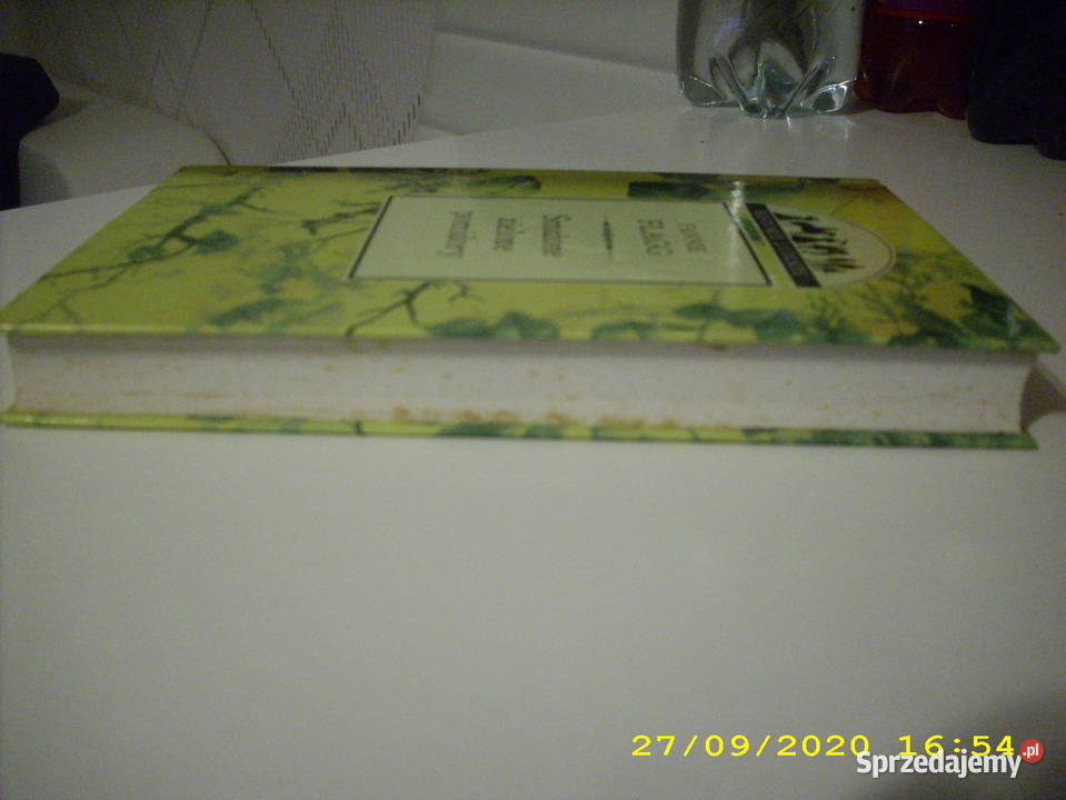 Smażone zielone pomidory Flagg k Zamość