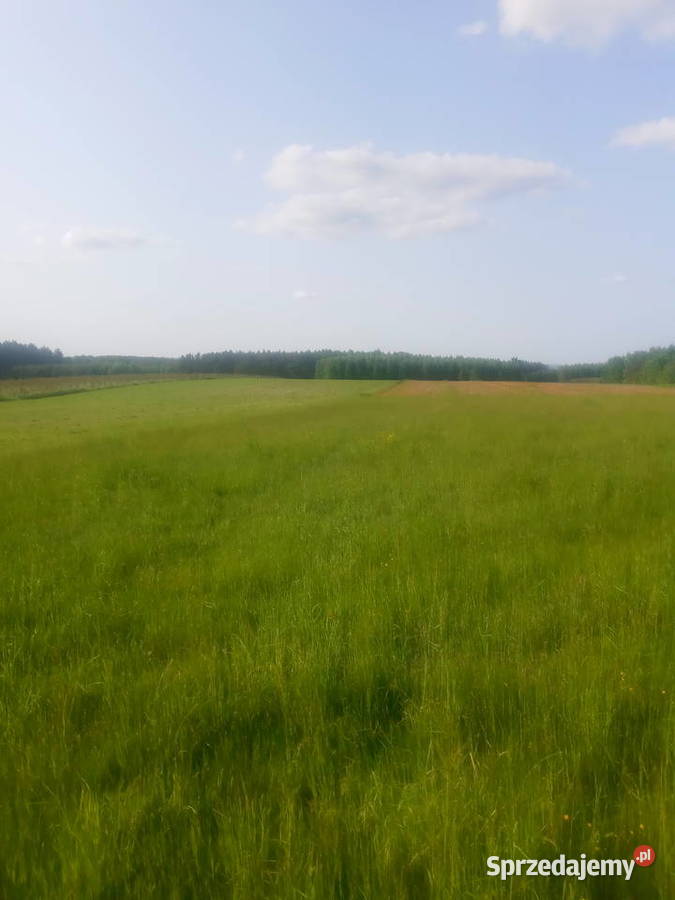 Działka rolna o powierzchni 198 hektara