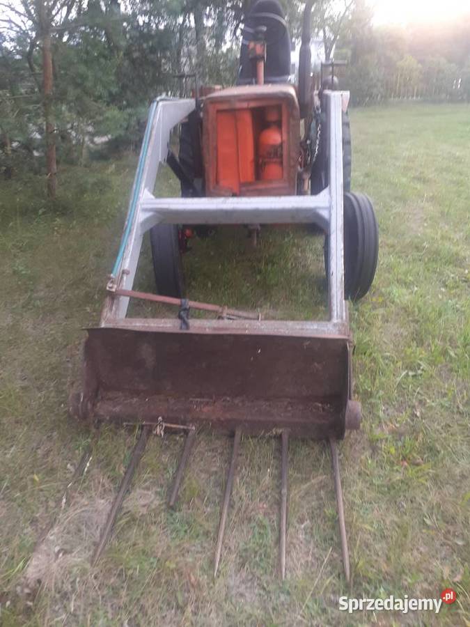 T25 wladimirec Ruski z turem Siedlce