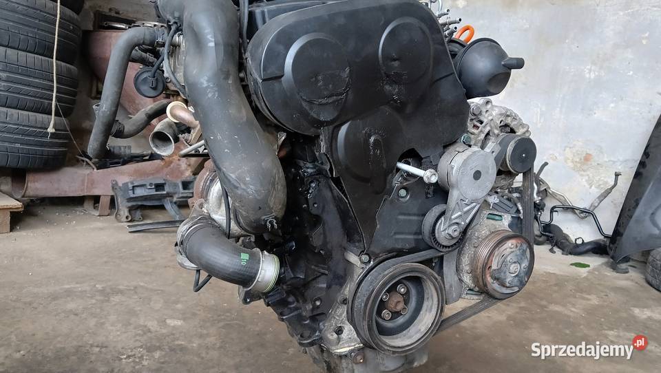 Silnik 20TDI 103kW BKD 223189 kompletny Nysa