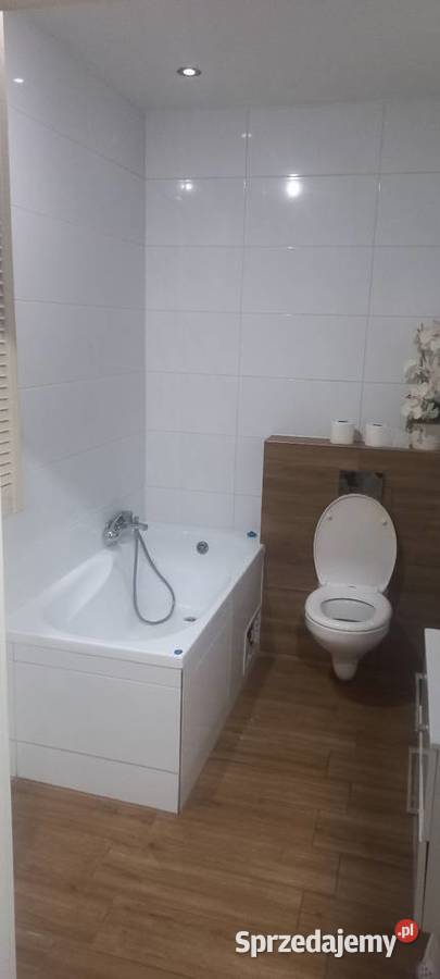 Mieszkanie do wynajęcia