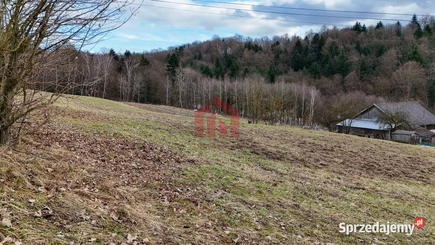 Grunt sprzedam 1300m2 Wielopole Skrzyńskie Sprzedaż