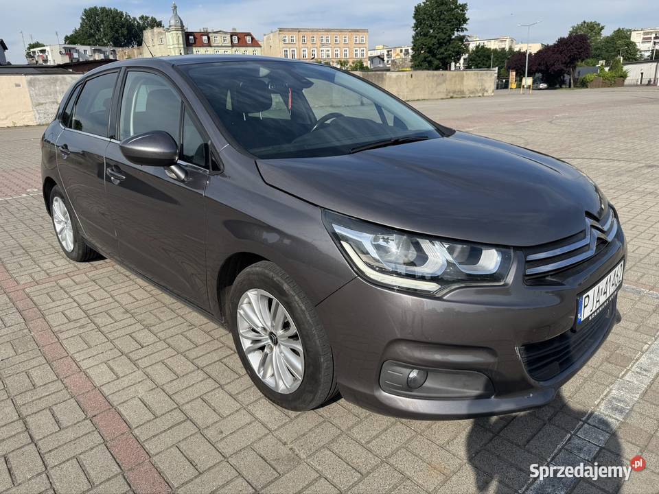 Citron C4 16 BlueHDI 2016 lift wielkopolskie Krotoszyn sprzedam