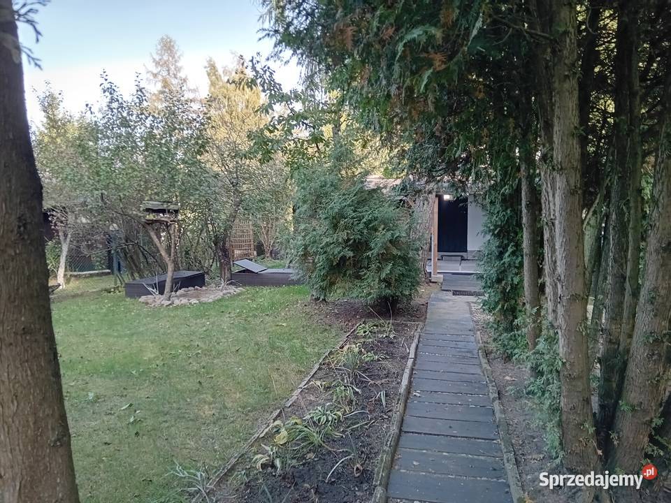 Działka ROD Zielonka