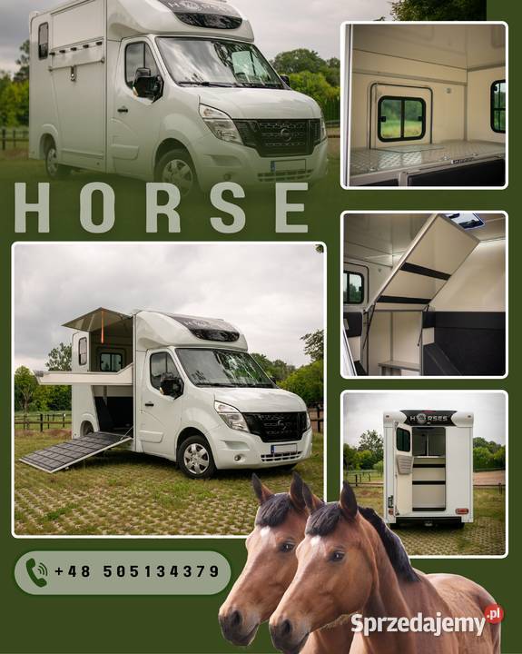Nissan NV400 KONIOWÓZ Samochód do przewozu koni Rokietnica