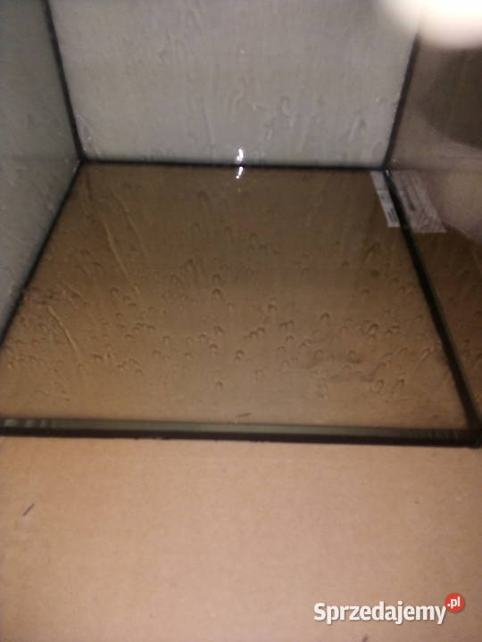 terariu mazowieckie Warszawa