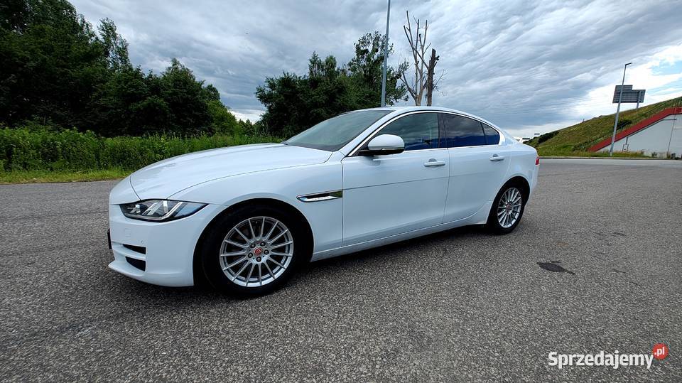 Jaguar XE 2014 Sedan 20 TD Navi Skóra Bi Ksenon 2000cm3 Bytom sprzedam