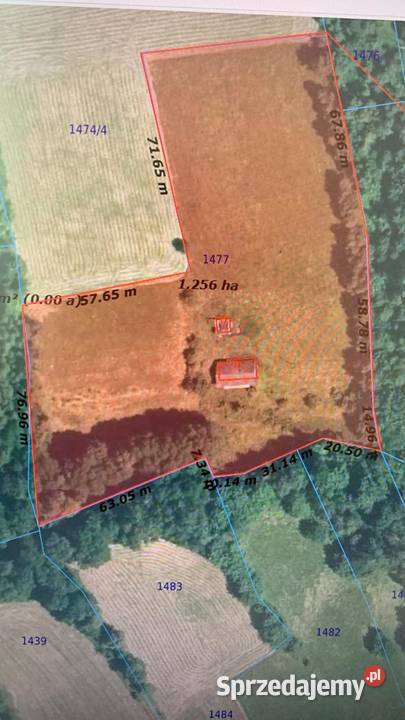 dom drewniany Binarowa