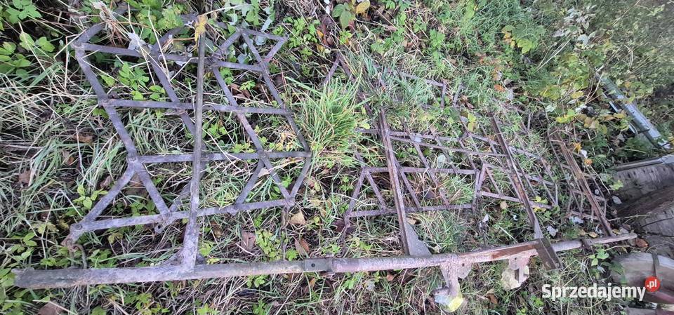 Brony konne czwórki Chorupnik