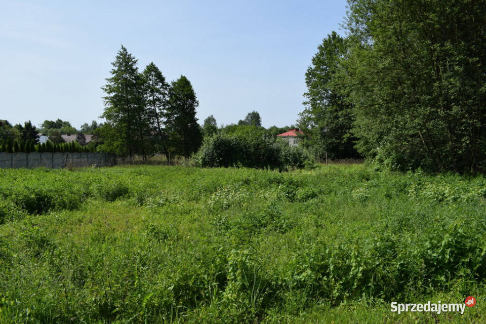 Działka budowlana 68a Jasionka sprzedam