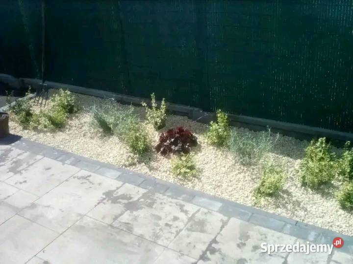 WYKONAM RÓŻNE PRACE FIZYCZNE Pozostałe Inowrocław