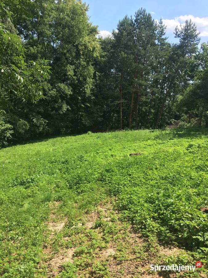 Działka budowlana z prywatnym lasem 18 arów 1860m2 Rybna