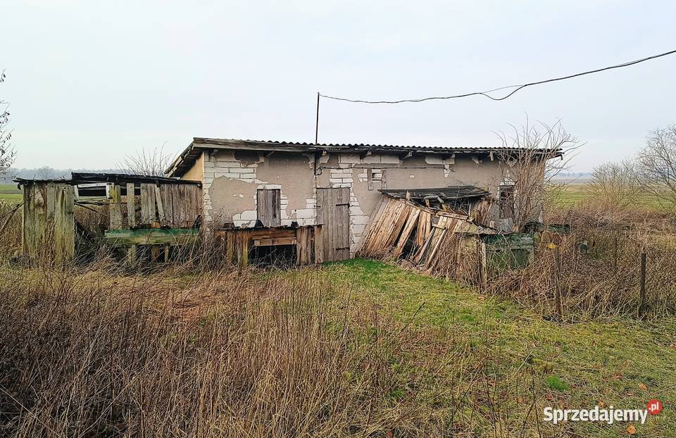 Dom wolnostojący do remontu Warmia 1 piętro