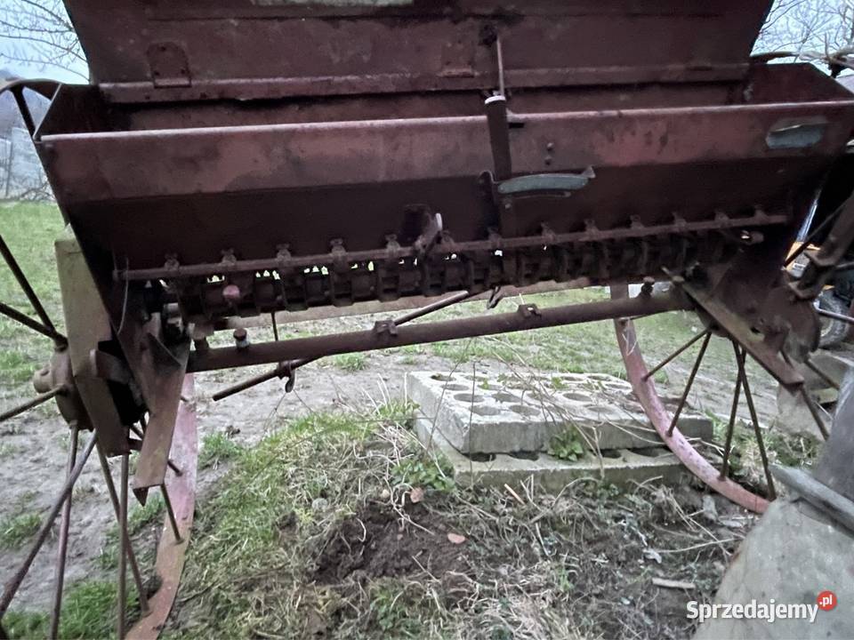 Siewnik konny Dębica